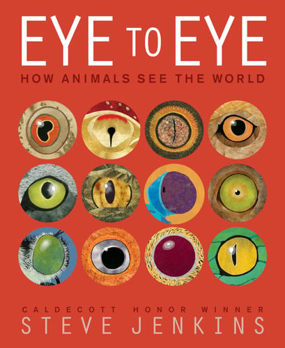 Front Cover Of Eye To Eye Pb