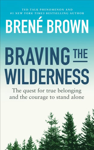 Front Cover Of Braving the Wilderness