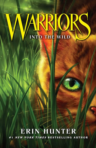 Front Cover Of Warrior Cats 01 Into The Wild