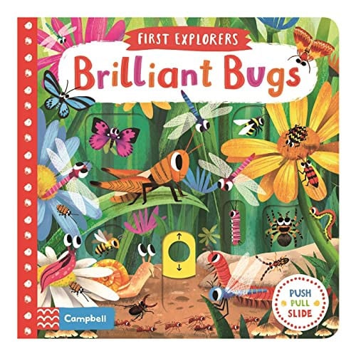 Front Cover Of First Explorers: Brilliant Bugs Bb