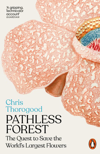 Front Cover Of Pathless Forest