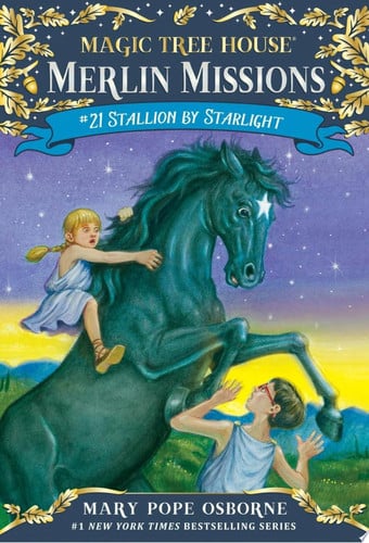 Front Cover Of Merlin Missions 21: Stallion by Starligh