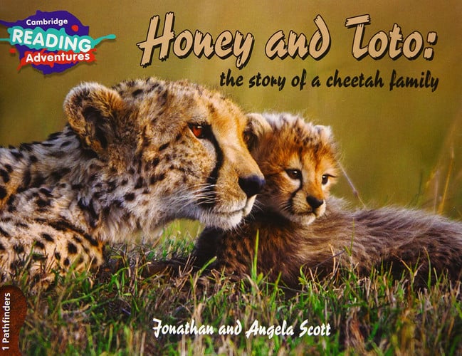 Front Cover Of 1 Pathfinders Honey and Toto: the story of a cheetah family