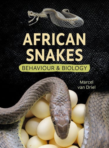 Front Cover Of African Snakes: Behaviour & Biology