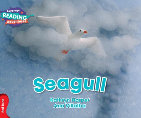 Front Cover Of Red Seagull
