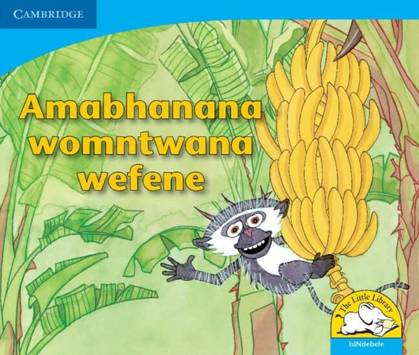 Front Cover Of Amabhanana womntwana wefene