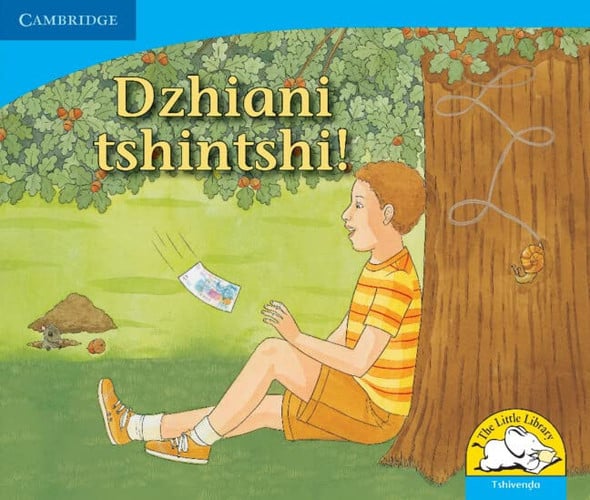 Front Cover Of Dzhiani tshintshi!
