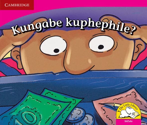 Front Cover Of Kungabe kuphephile?