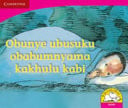 Front Cover Of Obunye ubusuku obabumnyama kakhulu kabi