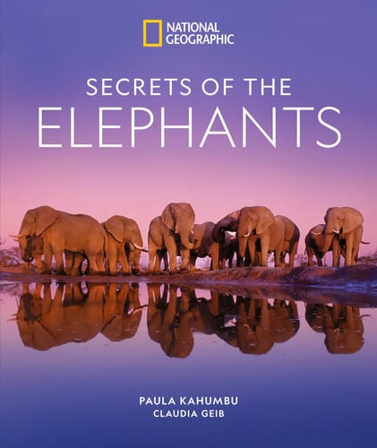 Front Cover Of Secrets of the Elephants