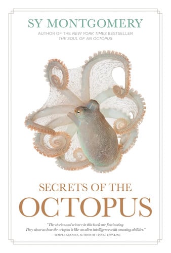 Front Cover Of Secrets of the Octopus
