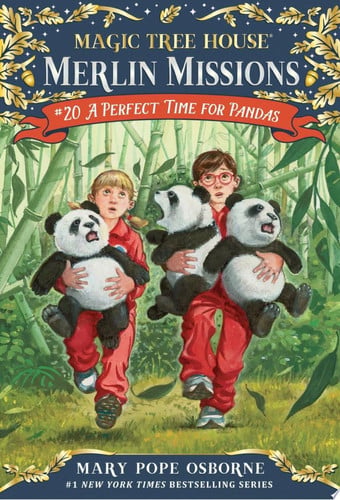 Front Cover Of Merlin Missions 20: Perfect Time for Pan