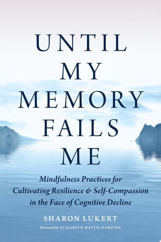 Front Cover Of Until My Memory Fails Me
