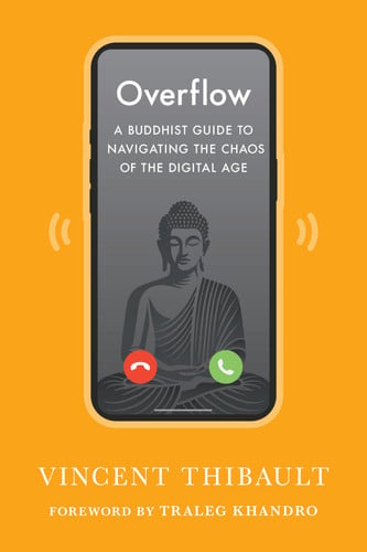 Front Cover Of Overflow