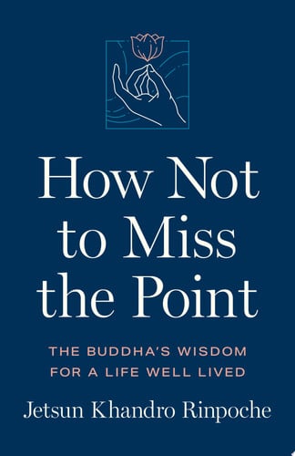 Front Cover Of How Not to Miss the Point