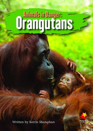 Front Cover Of Fs Sb G5T Animals In Danger: Orangutans