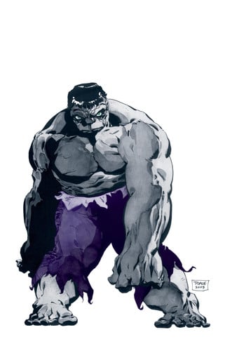 Front Cover Of Hulk