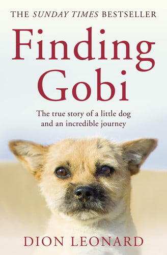 Front Cover Of Finding Gobi Pb