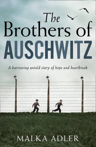 Front Cover Of Brothers Of Auschwitz Pb