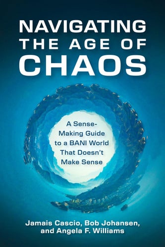 Front Cover Of Navigating the Age of Chaos