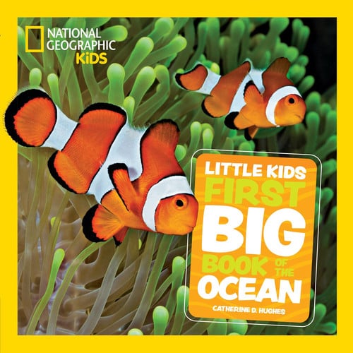 Front Cover Of Little Kids First Big Book Of The Ocean
