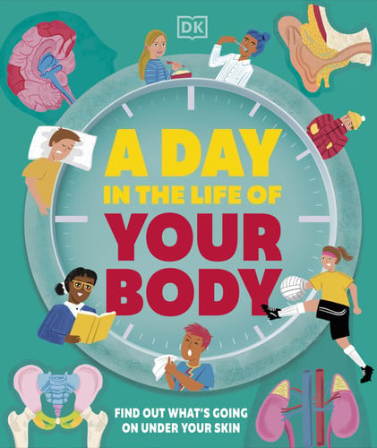 Front Cover Of Day in the Life of Your Body