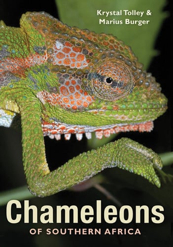 Front Cover Of Chameleons of Southern Africa