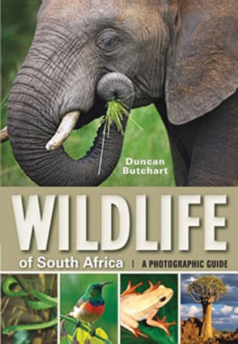 Front Cover Of Wildlife of South Africa