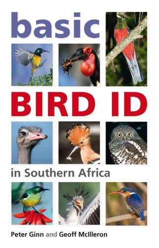 Front Cover Of Basic Bird ID In Southern Africa