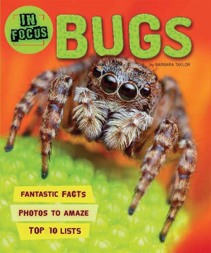 Front Cover Of In Focus: Bugs Pb