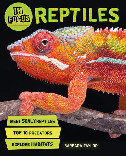 Front Cover Of In Focus: Reptiles Pb