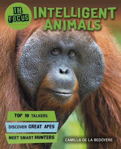 Front Cover Of In Focus: Intelligent Animals Pb