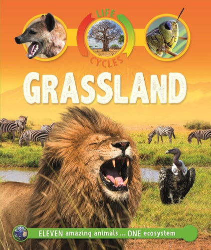 Front Cover Of Life Cycles: Grassland