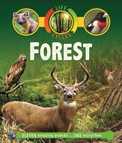 Front Cover Of Life Cycles: Forest R/I Pb