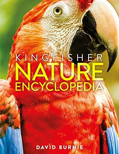 Front Cover Of Kingfisher Nature Encyclopedia Hb