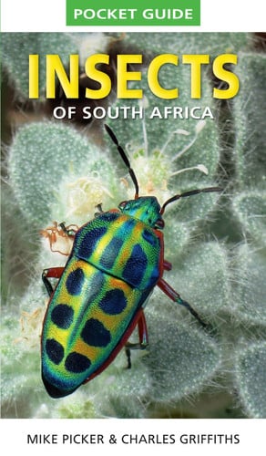 Front Cover Of PG: Insects of South Africa