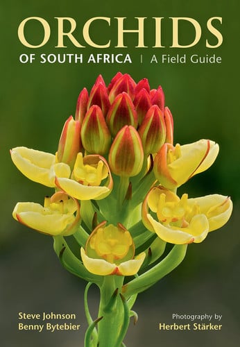 Front Cover Of FG: Orchids of South Africa (NE)