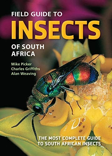 Front Cover Of FG: Insects of South Africa (NE)