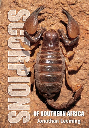 Front Cover Of Scorpions of Southern Africa (NE)