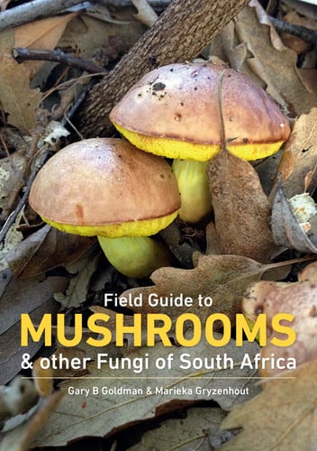 Front Cover Of FG: Mushrooms & other Fungi of SA