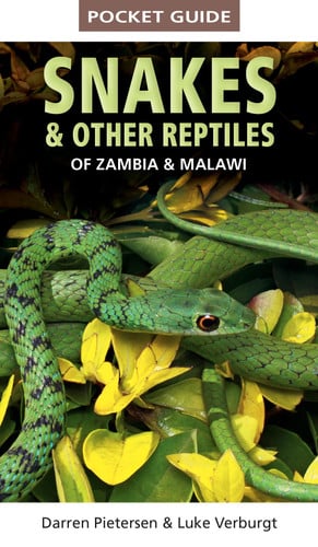 Front Cover Of PG: Snakes & Other Reptiles of Zambia