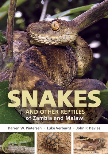 Front Cover Of Snakes & other Reptiles Zambia & Malawi