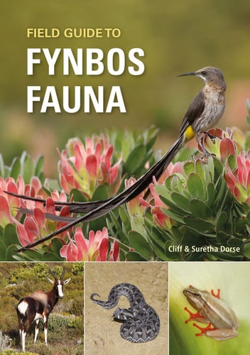 Front Cover Of FG: Fynbos Fauna