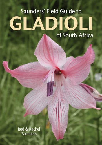 Front Cover Of Saunders' FG to Gladioli of SA