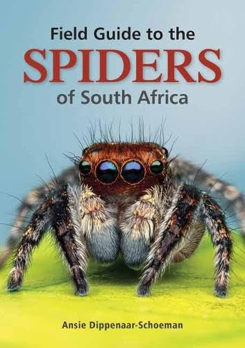 Front Cover Of FG: Spiders of South Africa