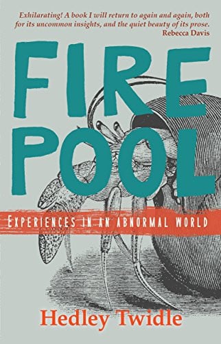 Front Cover Of Firepool