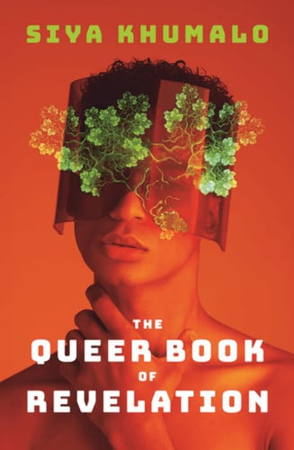 Front Cover Of The Queer Book of Revelation