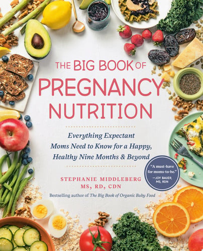 Front Cover Of Big Book of Pregnancy Nutrition