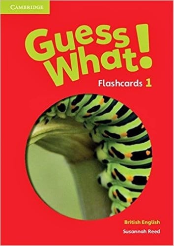 Front Cover Of Guess What Level 1 Flashcards pack of 95 British English