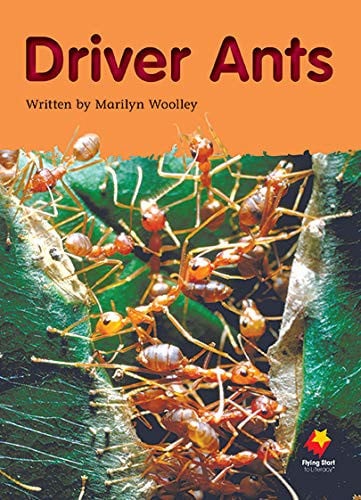Front Cover Of Fs Driver Ants L20